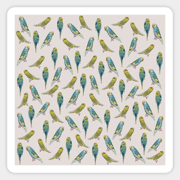 Budgies Sticker by ERINPETA